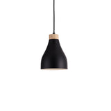 Ash Pendel Ø16 Sort-Nordic Seasons-OutletLamper.dk