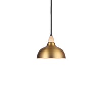 Oak Pendel Ø24 Børstet Messing-Nordic Seasons-OutletLamper.dk