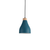 Ash Pendel Ø16 Petroleum-Nordic Seasons-OutletLamper.dk