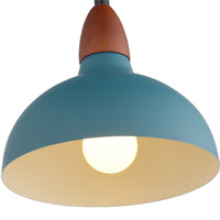 Oak Pendel Ø19 Petroleum